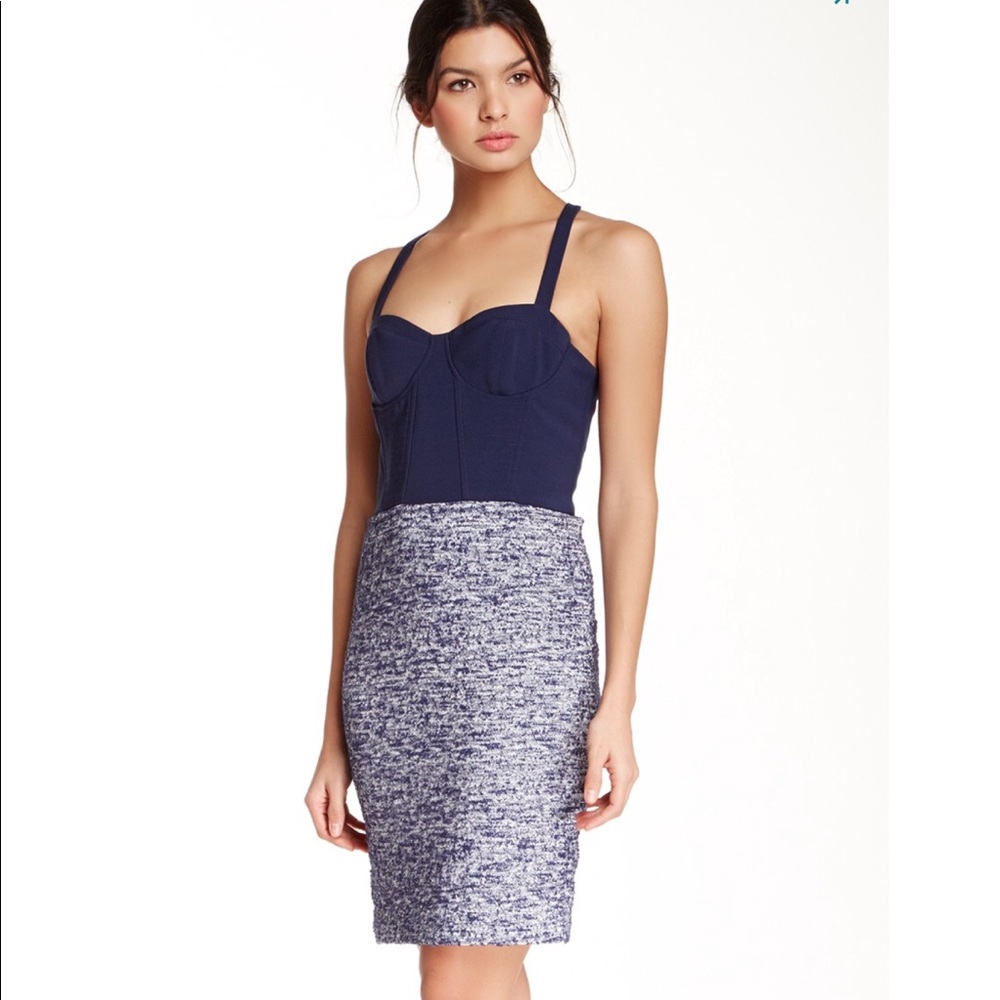Alice and Olivia Dixie Bustier dress